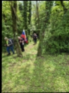 Pohodniki na Krašnjem vrhu