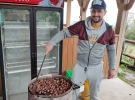 Kostanjev piknik