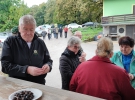 Kostanjev piknik