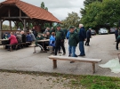 Kostanjev piknik
