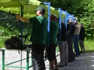 tekmovanje v streljanju s pištolo